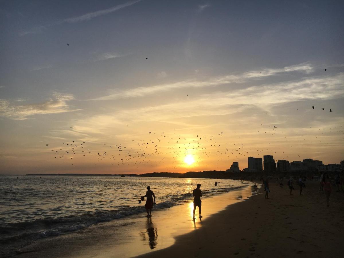 Apartamento T1 Com Piscina E Vista Mar - Praia Da Rocha Portimão Exteriör bild