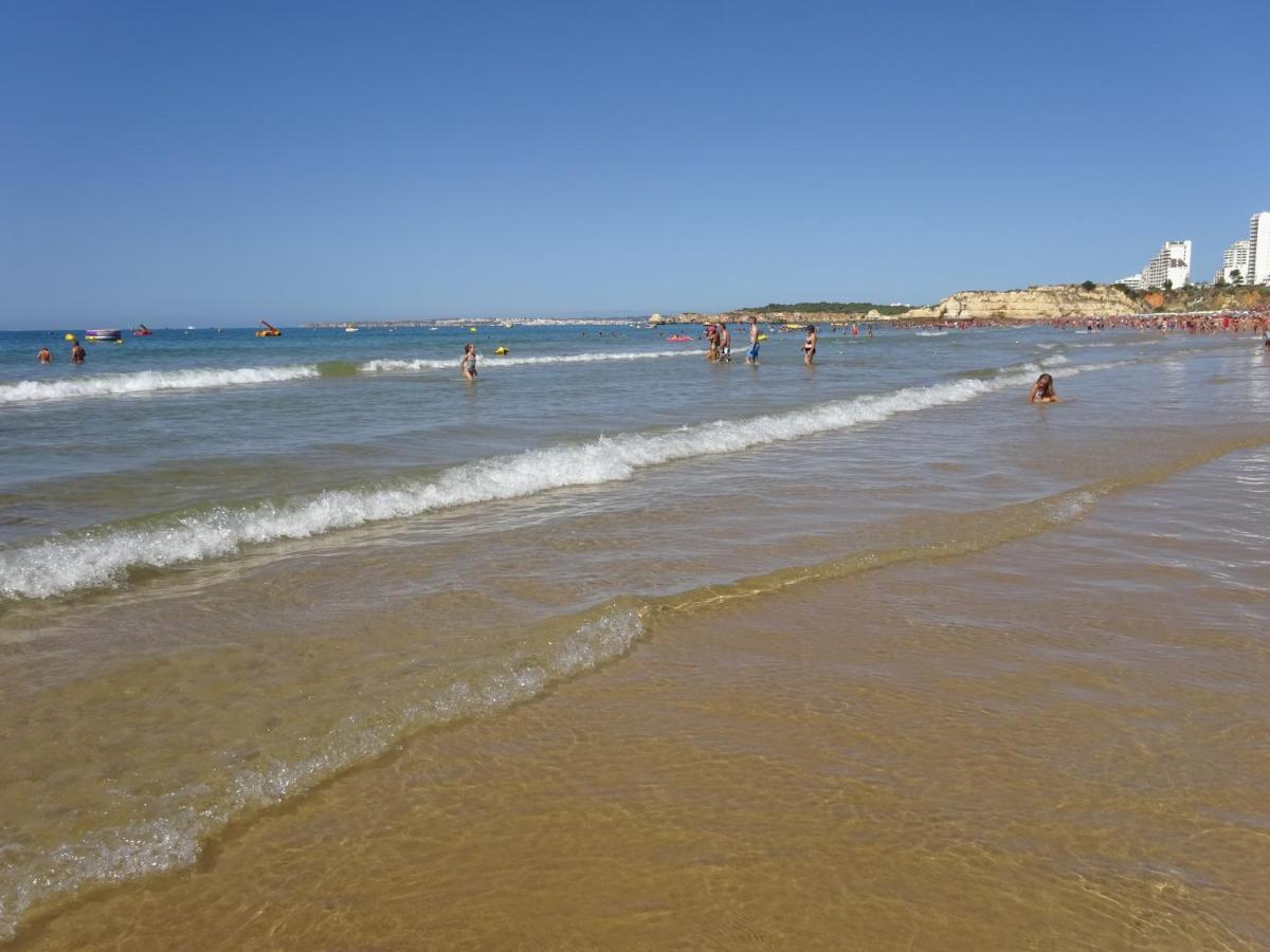 Apartamento T1 Com Piscina E Vista Mar - Praia Da Rocha Portimão Exteriör bild